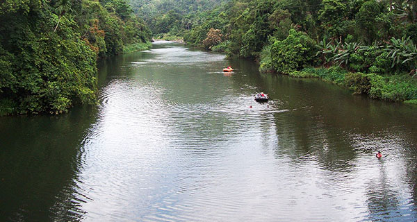 කැළණි ගඟේ ජල දුෂණය ඉහළ යයි, පිරිපහදු වියදම වාර්ෂිකව වැඩි වේ!