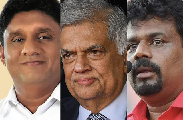 අන්නාසි සමීක්ෂණ හා සාරවිට නිරීක්ෂණ – ආචාර්ය උදන් ප්රනාන්දු