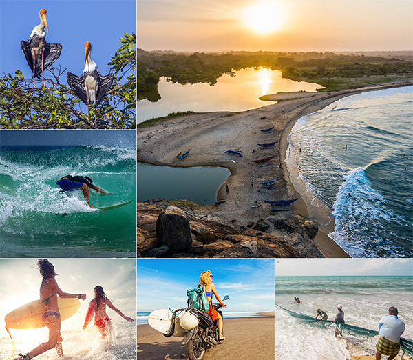 ආරුගම්බේට යන්න එපා – ඇමරිකානු තානාපති කාර්යාලය
