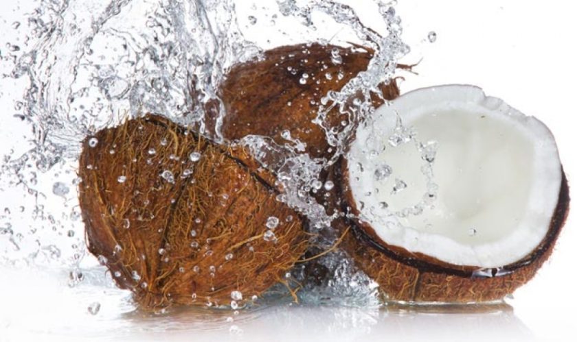 එලොව පොල් හා මෙලොව පොල්
