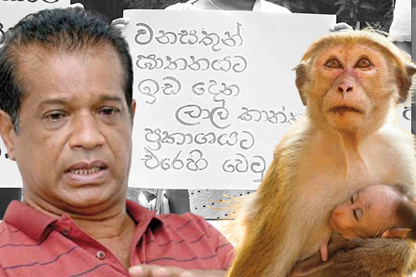 රිලවුන් මරන හැටි දේශපාලනිකව – අජිත් පැරකුම් ජයසිංහ