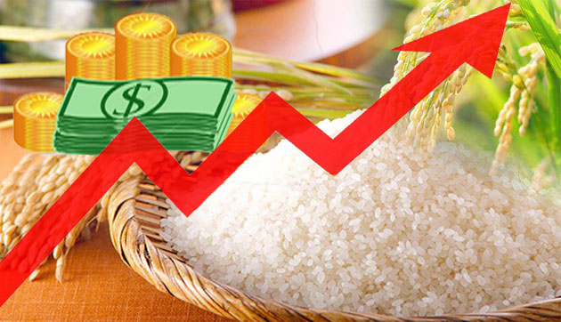 ආනයනය කළ සහල් තොග ලබන සතියේ වෙළඳපලට – සැඟවූ සහල් තොග දඹුල්ලට