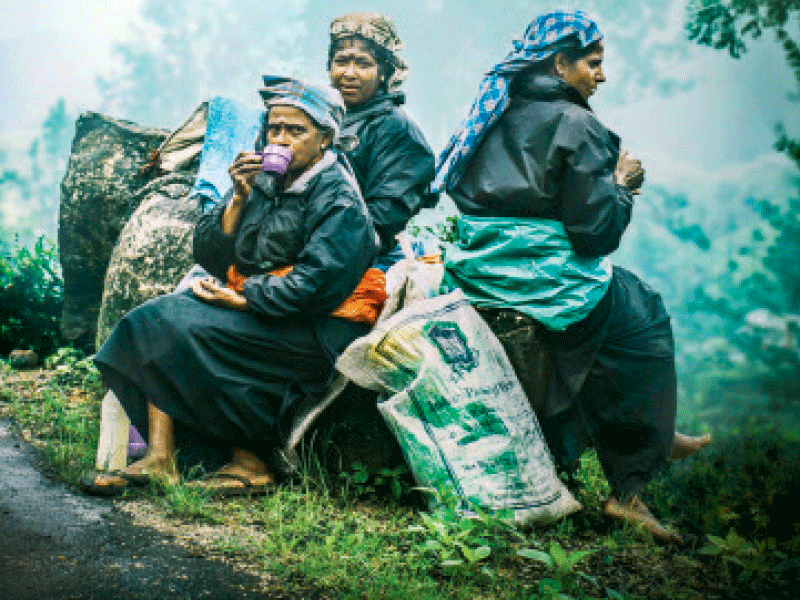 වතු දෙමළ ජනයාගේ නාමය උඩරට දෙමළ වෙයි