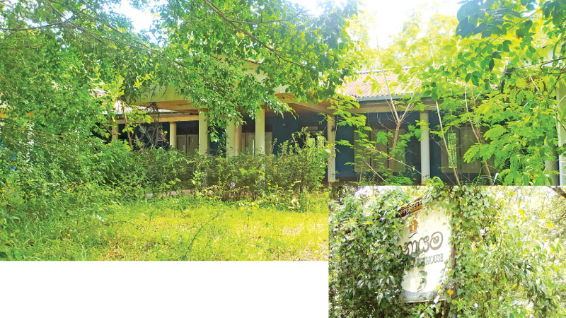 කැළේට ගිය ආණමඩුව තානායම