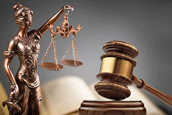 වත්කම් සහ බැරකම් ප්‍රකාශ ආකෘතියට පාර්ලිමේන්තුවේ අනුමැතිය