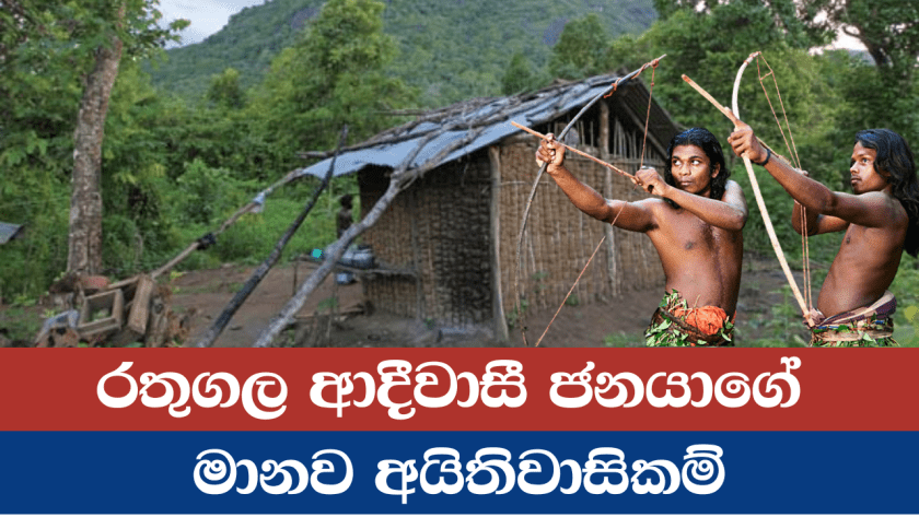 රතුගල ආදීවාසී ජනයාගේ මානව අයිතිවාසිකම්