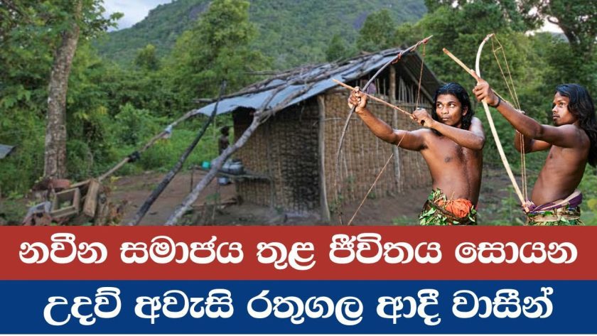 නවීන සමාජය තුළ ජීවිතය සොයන, උදව් අවැසි රතුගල ආදි වාසීන්