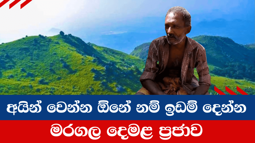 අයින් වෙන්න ඕනේ නම් ඉඩම් දෙන්න – මරගල දෙමළ ප්‍රජාව