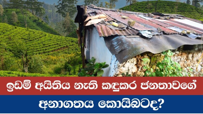 ඉඩම් අයිතිය නැති කඳුකර ජනතාවගේ අනාගතය කොයිබටද?