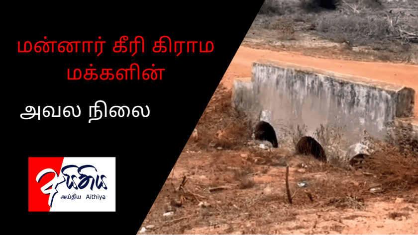 மன்னார் கீரி கிராம மக்களின் அவல நிலை