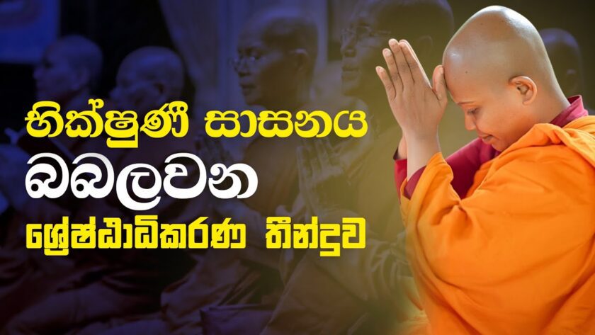 භික්ෂුණී සාසනය බබලවන ශ්‍රේෂ්ඨාධිකරණ තීන්දුව | Bhikkhuni Sasana