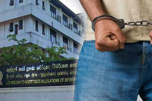 අල්ලස් කොමිසමේ නිලධාරියෙකු ලෙස පෙනී සිටි පුද්ගලික සමාගමක කළමණාකරුවෙකු අත්අඩංගුවට