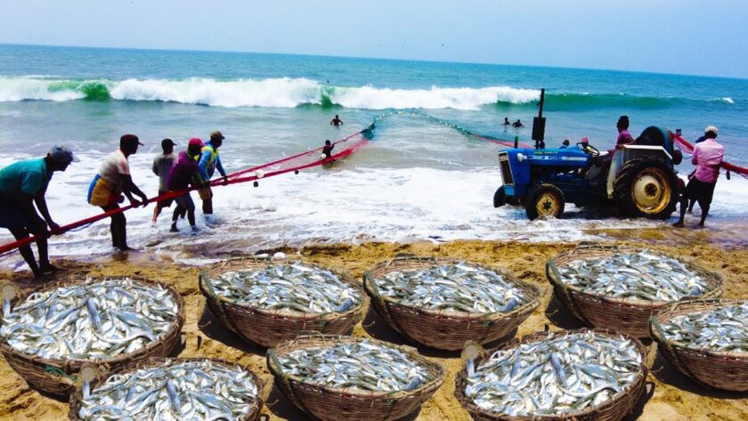 මාදැල් ප්‍රශ්නය – අජිත් පැරකුම් ජයසිංහ