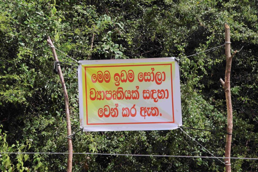 සූර්ය බලශක්ති සමාගම් අල්ලස් ලබා දී හම්බන්තොට අලි නිජබිම් වනසයි – සජීව චාමිකර