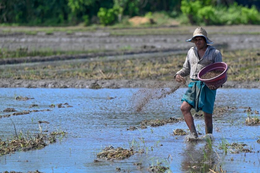 මැදපෙරදිග යුද්ධය හේතුවෙන් ශ්‍රී ලංකාවට කෘෂි හා ආර්ථික පීඩනය වැඩිවෙයි – FAO අනතුරු ඇඟවීමක්