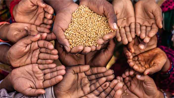 ආහාර අර්බුදයක් පැමිණේවි ද? – මහාචාර්ය බුද්ධි මාරඹේ