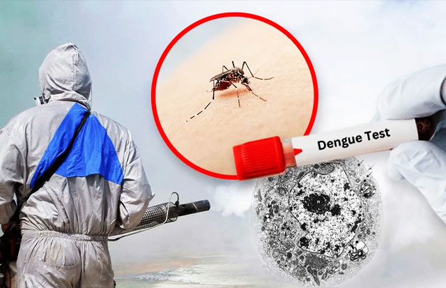 පැය 24ක දී නව ඩෙංගු රෝගීන් 2600ක් වාර්තා වෙයි!
